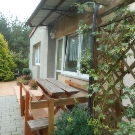 Appartement Przy lesie à Nowe Extérieur photo