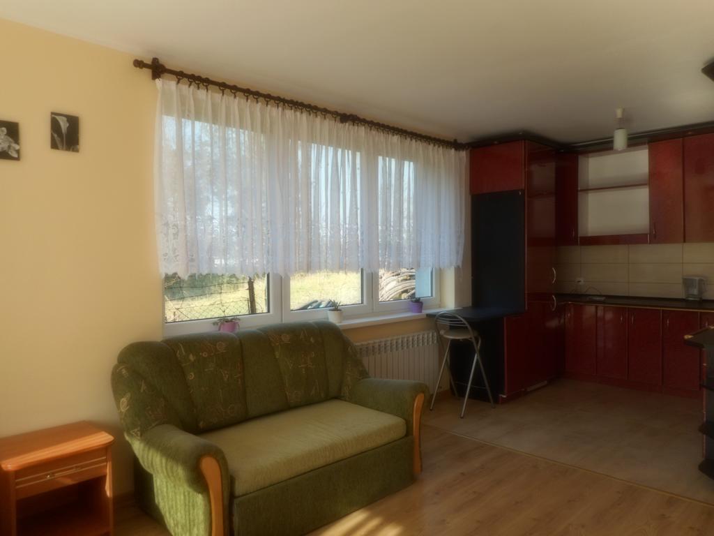 Appartement Przy lesie à Nowe Extérieur photo